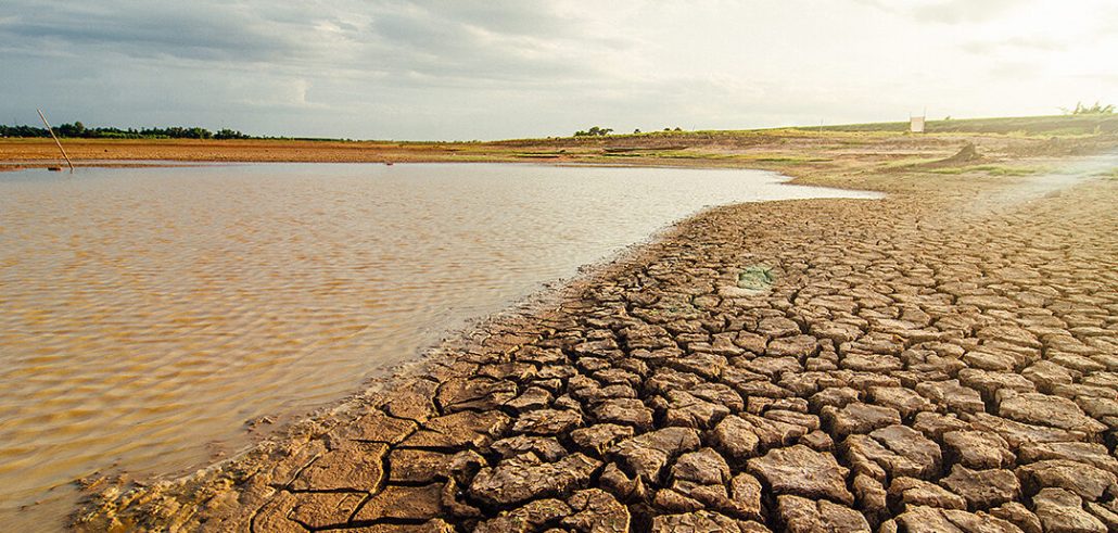La tierra nos necesita: El 17 de junio se conmemora el Día Mundial de Lucha contra la Desertificación y la Sequía