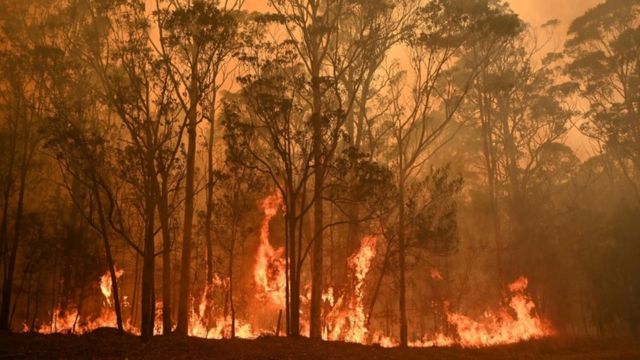 Incendios forestales en Australia