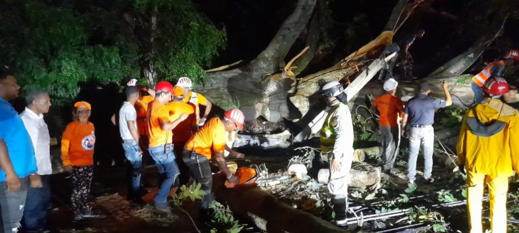 Lluvias y ráfagas de vientos ocasionan colapso de árbol en Santiago - Noticias de hoy en República Dominicana | De Último Minuto