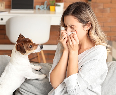 Los humanos transmiten más virus a los animales que al contrario