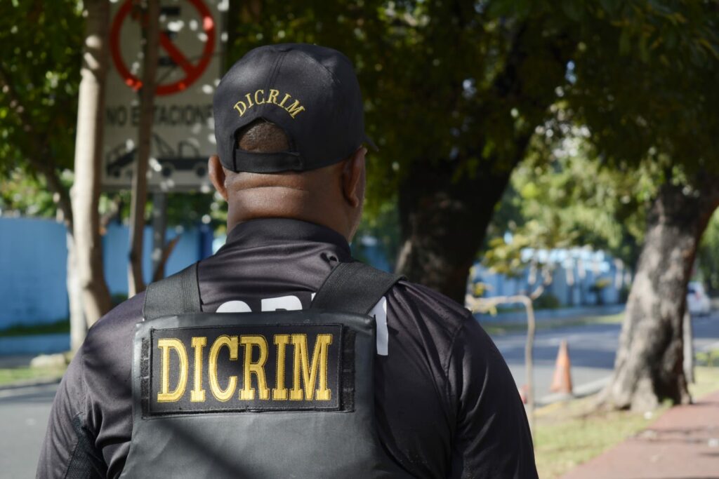 DICRIM detiene a 15 personas por distintos delitos