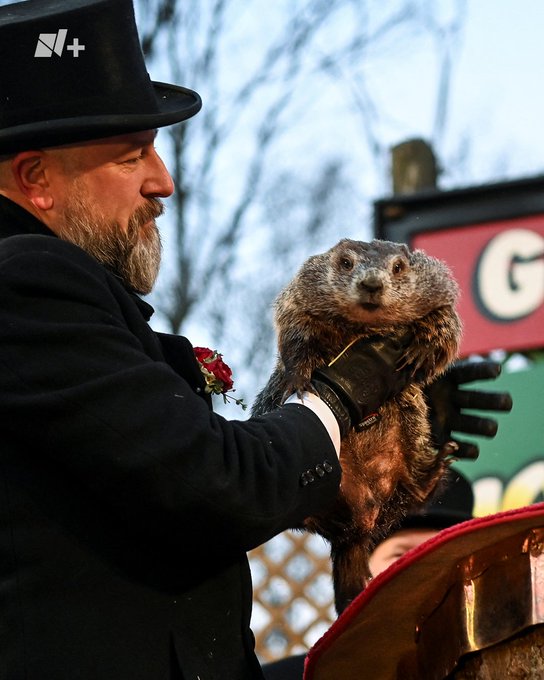 La famosa marmota Phil predice que el invierno será más largo de lo esperado - Noticias de hoy en República Dominicana | De Último Minuto