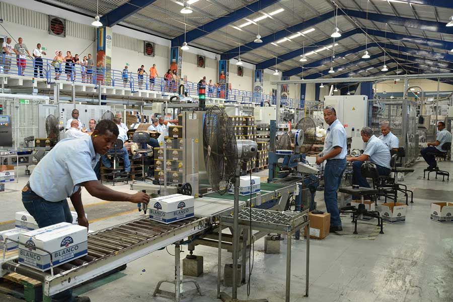 Actividad manufacturera.