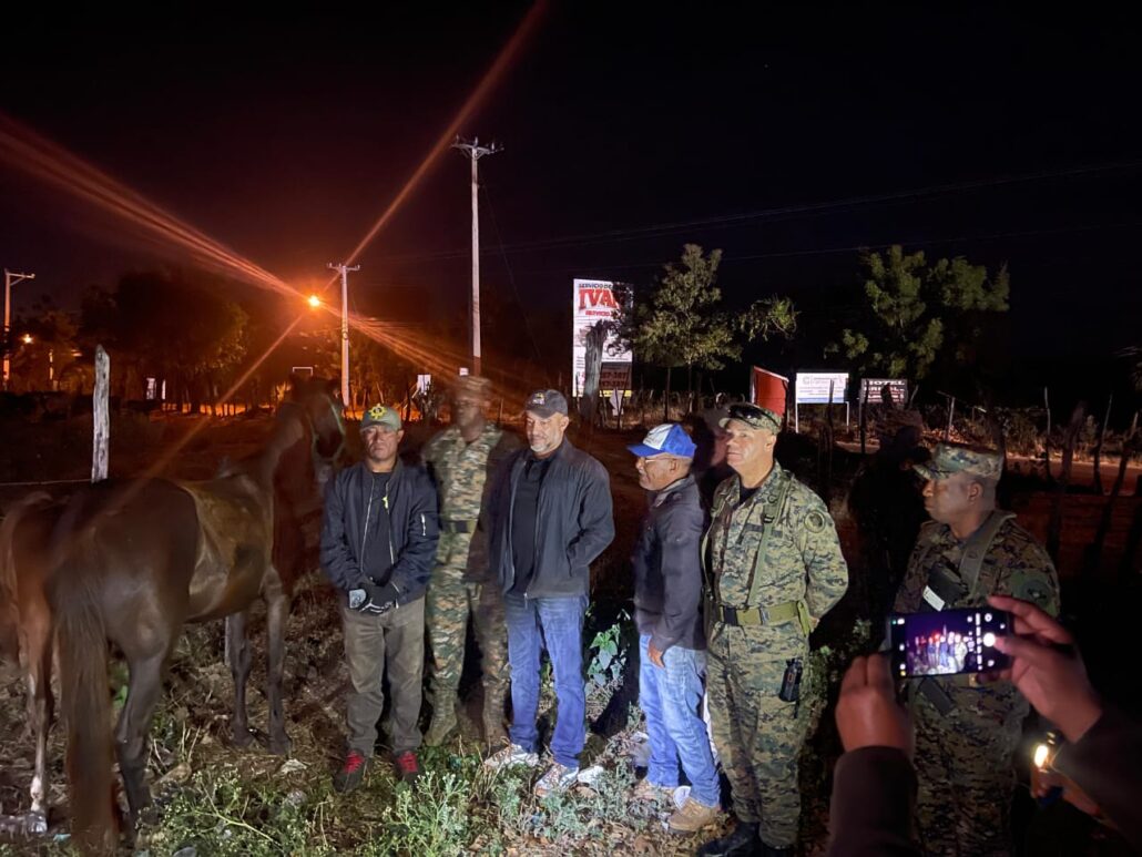 Ejército recupera ganado robado en hacienda de Dajabón