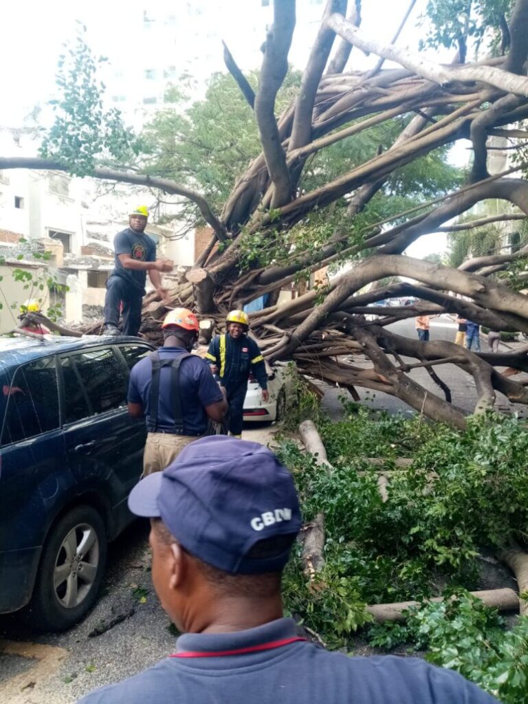 Bomberos DN trabajan para retirar árbol caído en calle El Retiro - Noticias de hoy en República Dominicana | De Último Minuto