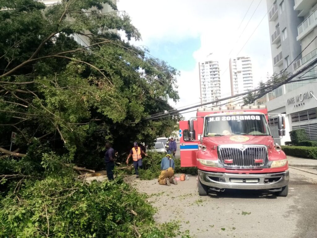 Bomberos DN trabajan para retirar árbol caído en calle El Retiro - Noticias de hoy en República Dominicana | De Último Minuto