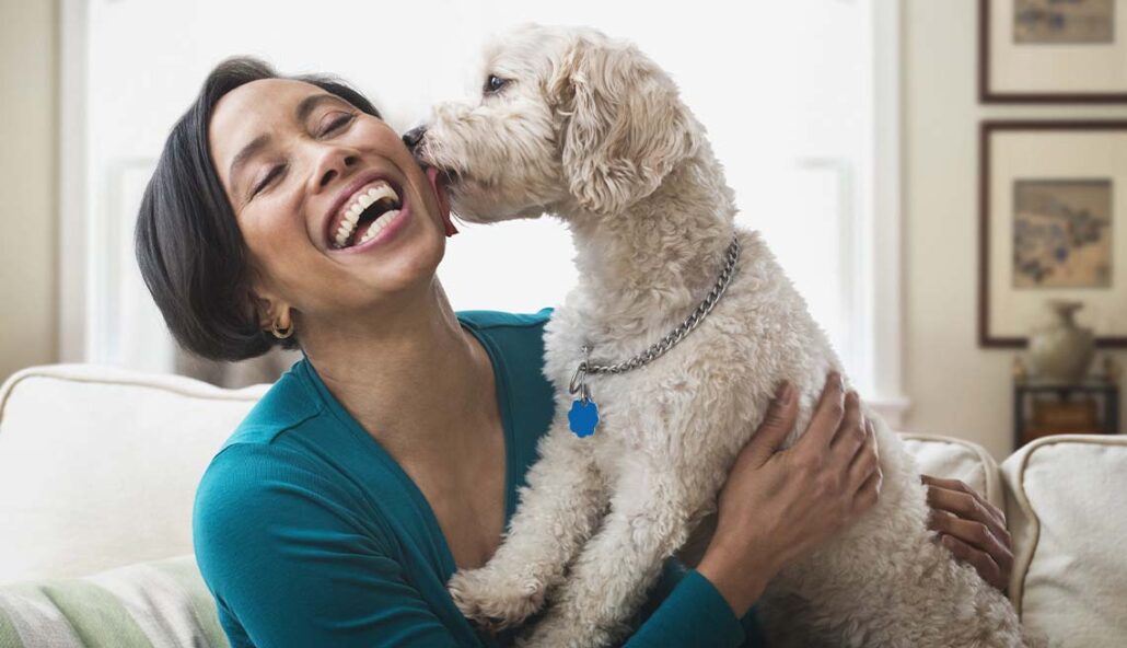 El antropomorfismo en las mascotas: ¿afecto o riesgo para su bienestar?