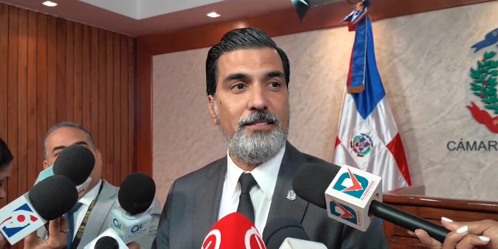 Diputados se proponen presentar una Cámara de Cuentas con 