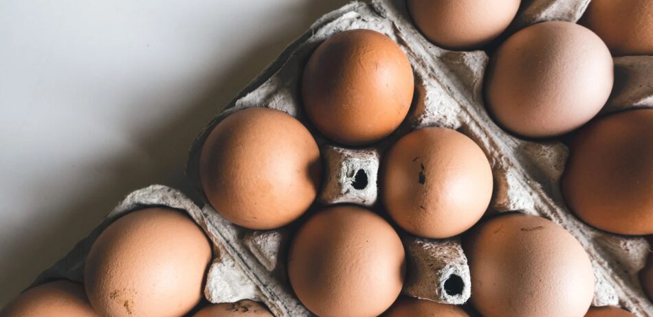 Donación de huevos en Nueva York termina a los 5 minutos ante la masiva demanda