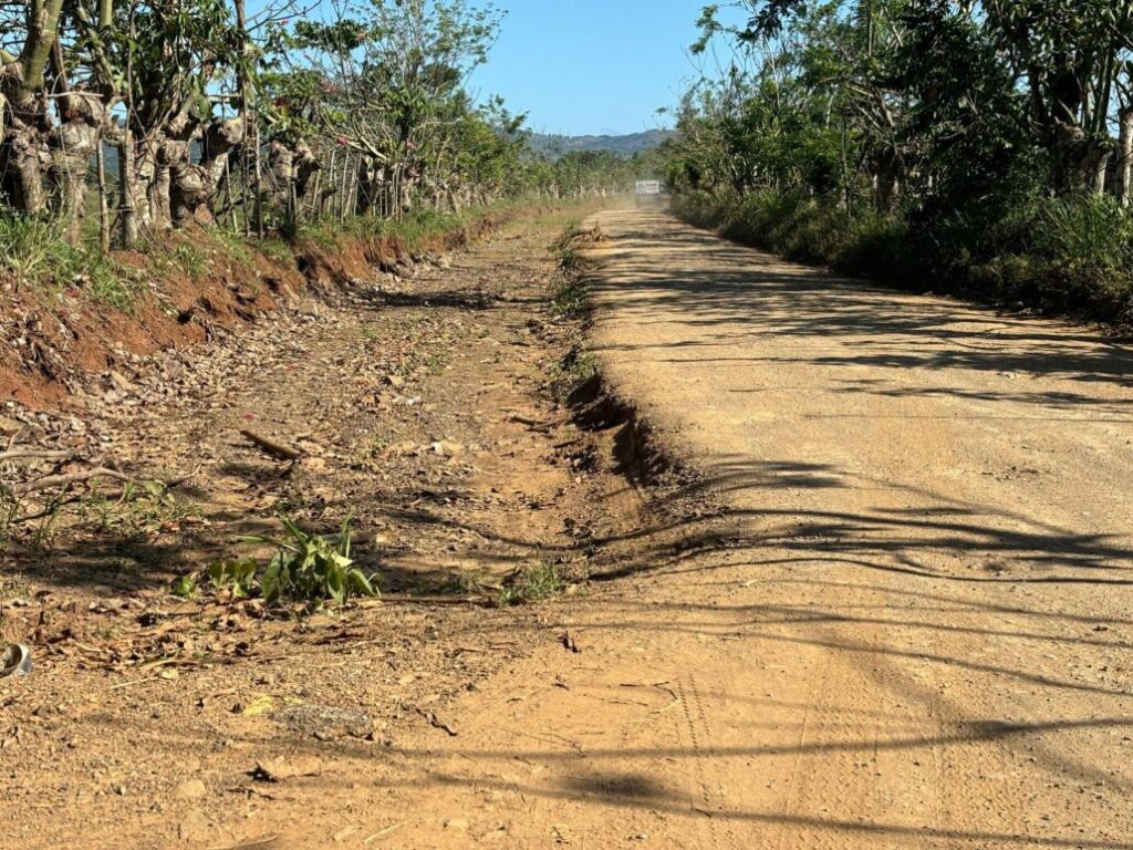 Organizaciones sociales marchan en Monte Plata exigiendo la terminación de la carretera El Dean–Cruce del Pajón - Noticias de hoy en República Dominicana | De Último Minuto