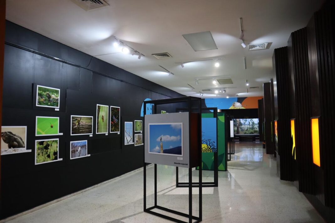 Museo Natural inaugura la exposición fotográfica “Enfoque Fauna”