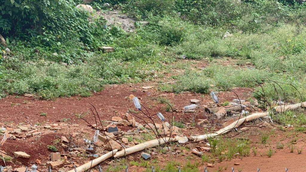 Comunidad de Las Galeras exige intervención del play municipal - Noticias de hoy en República Dominicana | De Último Minuto