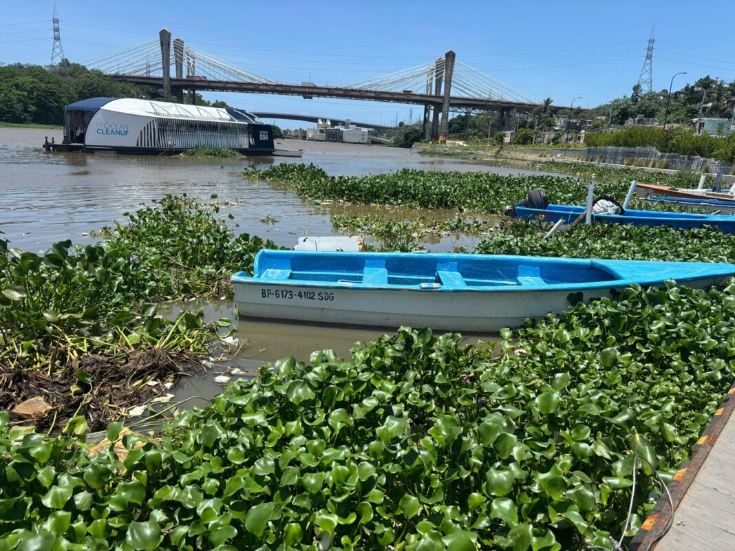 Lilas paralizan la pesca en el río Ozama: pescadores denuncian abandono