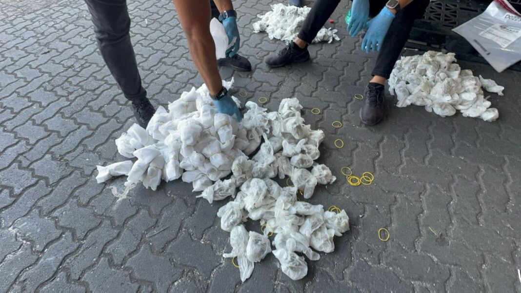 Puerto Haina: DNCD incauta en pañales más de 700 guantes quirúrgicos llenos de marihuana