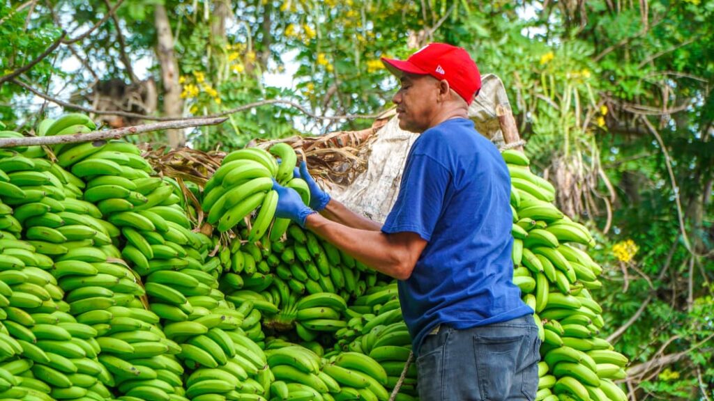 Concluye en San Juan proyecto “Inespre con las Madres” con más de 800 mil beneficiarios - Noticias de hoy en República Dominicana | De Último Minuto