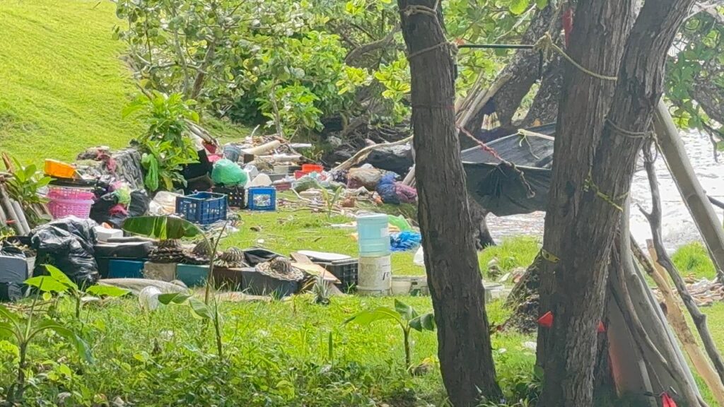 Alcaldía de Samaná recupera espacio de playa ocupado por ciudadano con problemas de salud mental - Noticias de hoy en República Dominicana | De Último Minuto