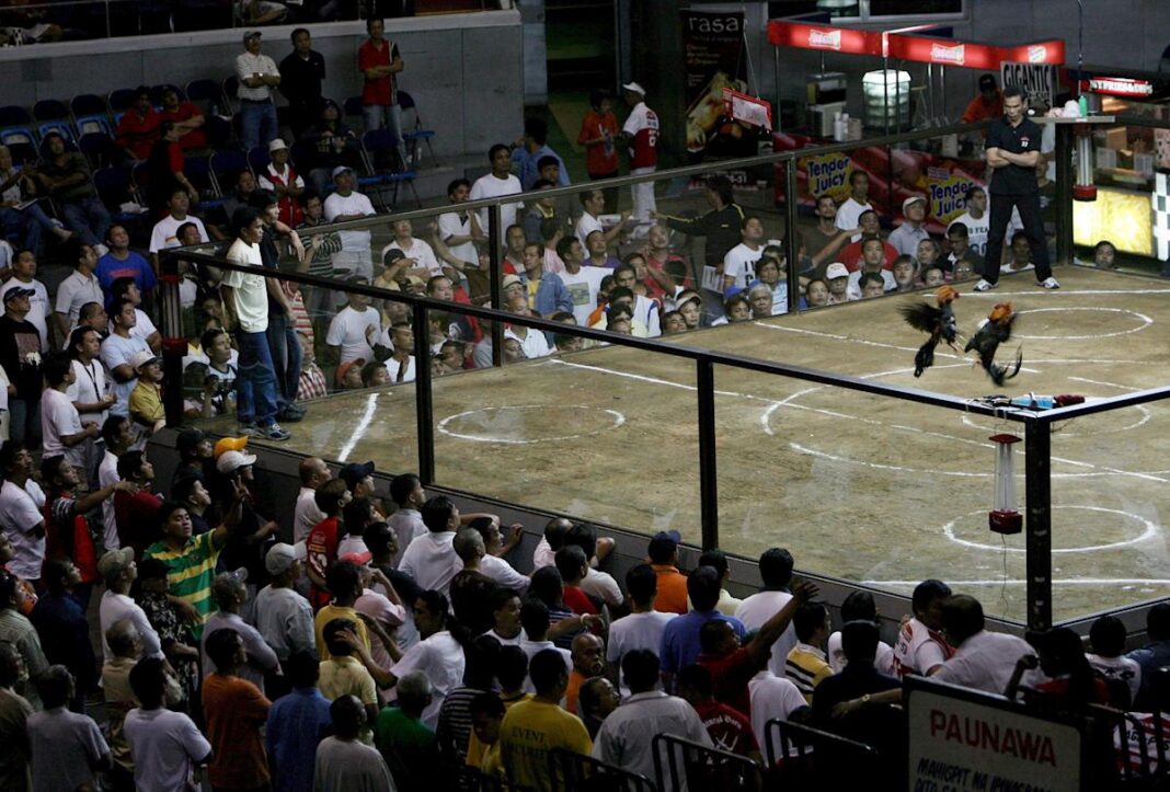 Filipinas urge a investigar la desaparición de 34 apostadores en peleas de gallos