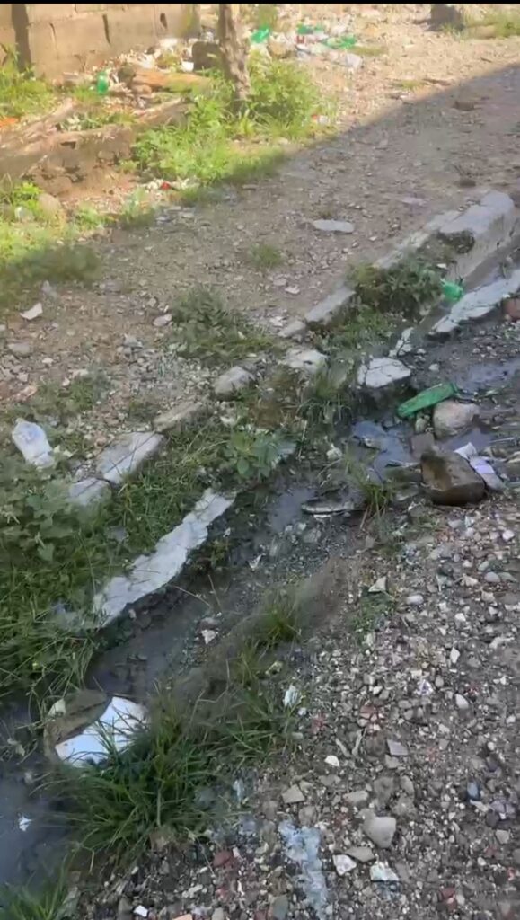Denuncian deterioro en calles y aceras en Los Frailes I - Noticias de hoy en República Dominicana | De Último Minuto