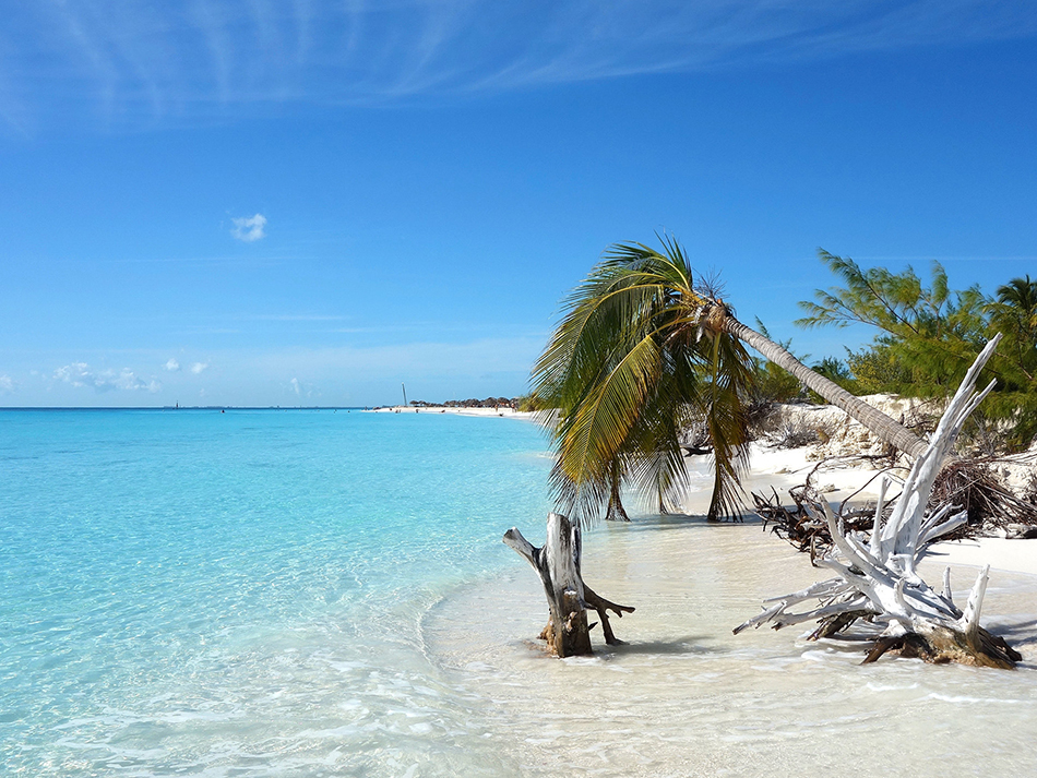 World Wide Travel: redescubriendo el Caribe desde República Dominicana - Noticias de hoy en República Dominicana | De Último Minuto