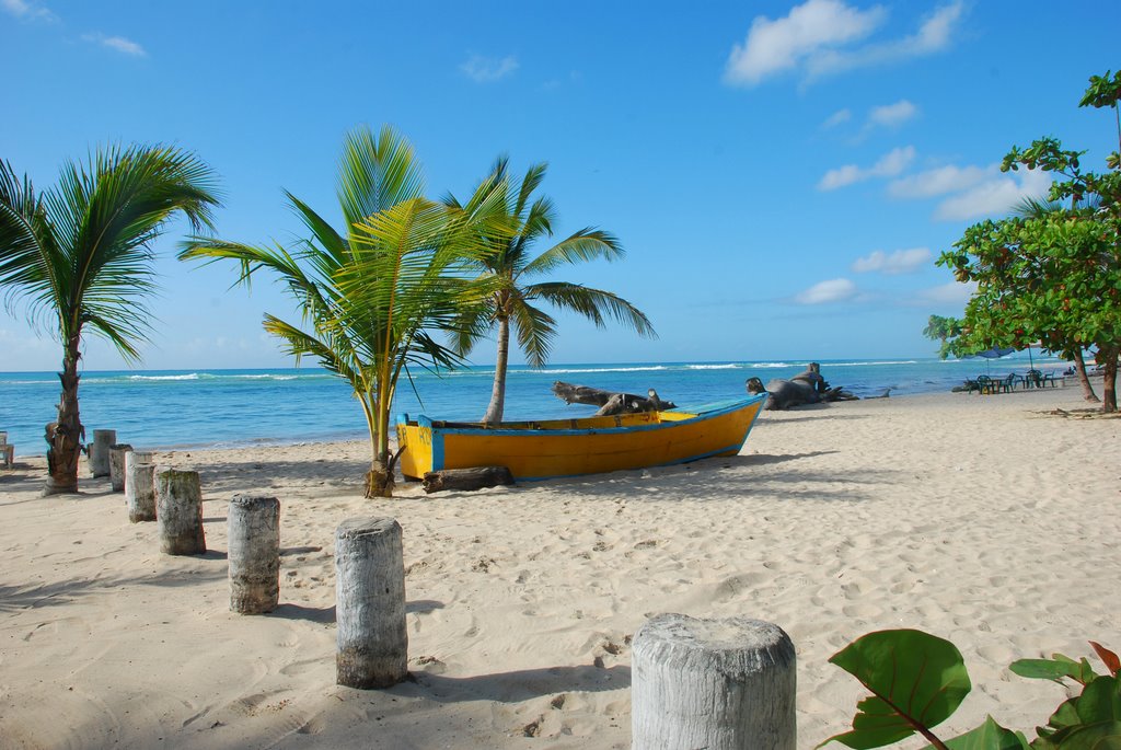 San Pedro de Macorís: Cuna de pasión, cultura y orgullo dominicano - Noticias de hoy en República Dominicana | De Último Minuto