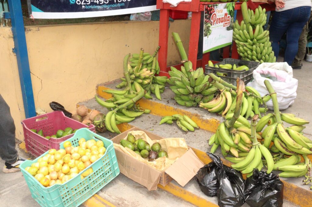 Cientos de personas se dan cita en la Feria Agropecuaria y Ecoturística 2025 en Azua - Noticias de hoy en República Dominicana | De Último Minuto