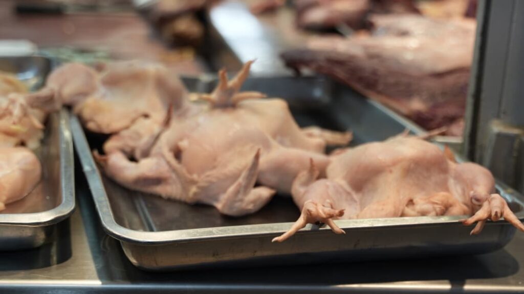 Comerciantes de la Ciudad Ganadera desmienten que el precio del pollo esté a 125 pesos la libra - Noticias de hoy en República Dominicana | De Último Minuto