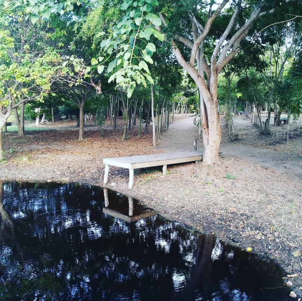 San Pedro de Macorís: Cuna de pasión, cultura y orgullo dominicano - Noticias de hoy en República Dominicana | De Último Minuto