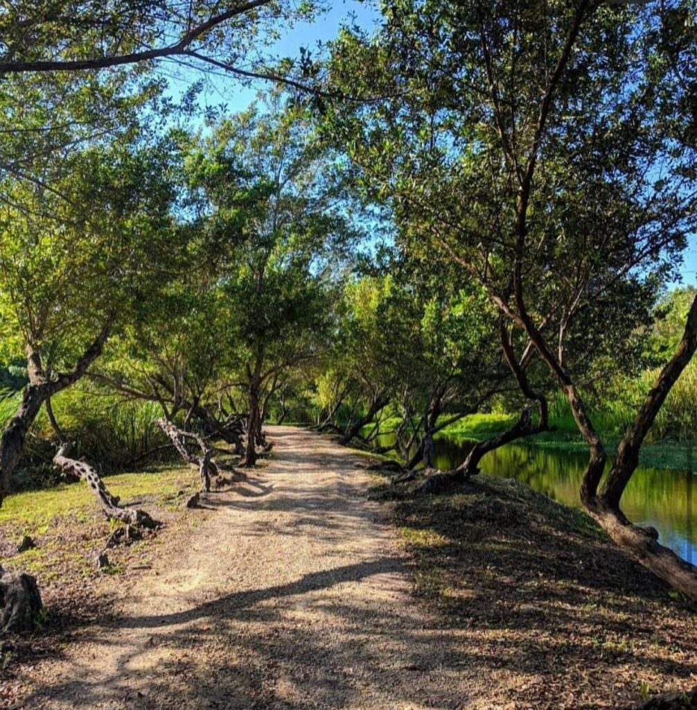 San Pedro de Macorís: Cuna de pasión, cultura y orgullo dominicano - Noticias de hoy en República Dominicana | De Último Minuto