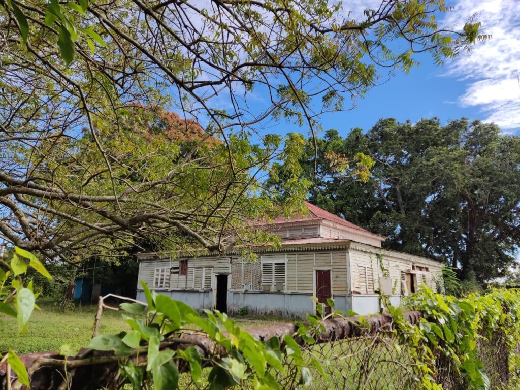 San Pedro de Macorís: Cuna de pasión, cultura y orgullo dominicano - Noticias de hoy en República Dominicana | De Último Minuto