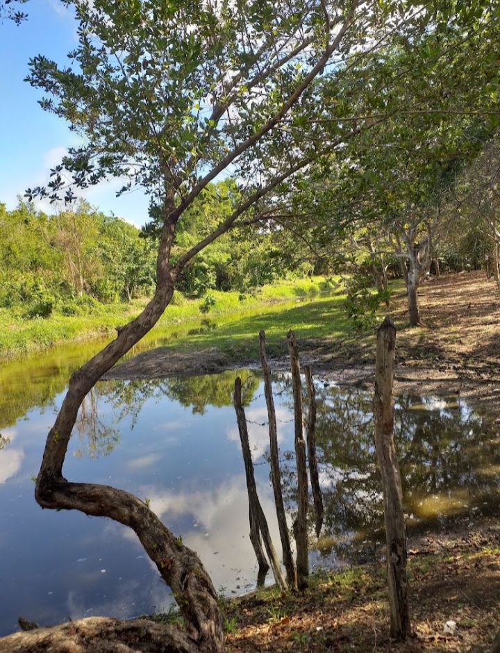 San Pedro de Macorís: Cuna de pasión, cultura y orgullo dominicano - Noticias de hoy en República Dominicana | De Último Minuto