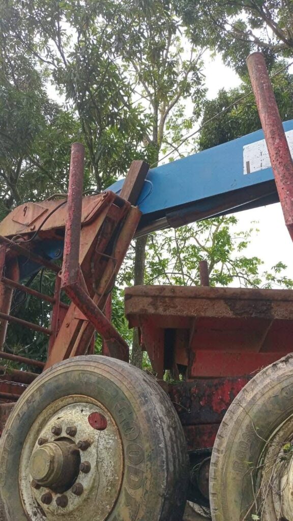 Chofer fallece electrocutado tras contacto de su vehículo con tendido eléctrico en La Sabina - Noticias de hoy en República Dominicana | De Último Minuto