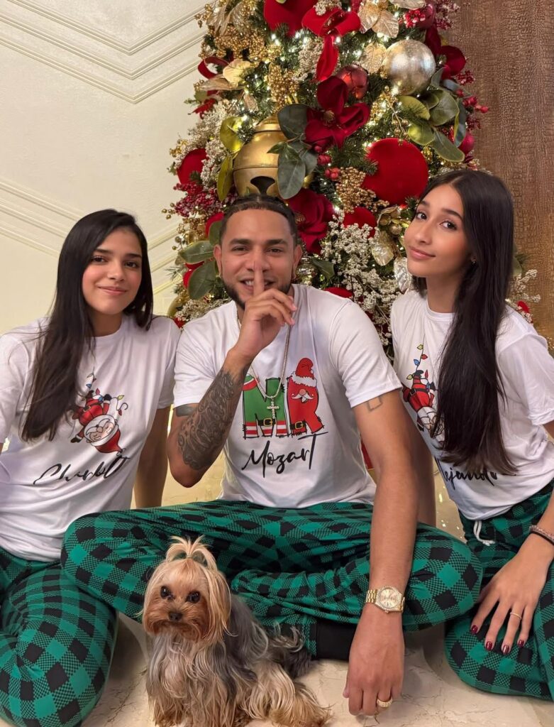 ¡Alerta ternura! Mascotas se adueñaron de postales navideñas - Noticias de hoy en República Dominicana | De Último Minuto