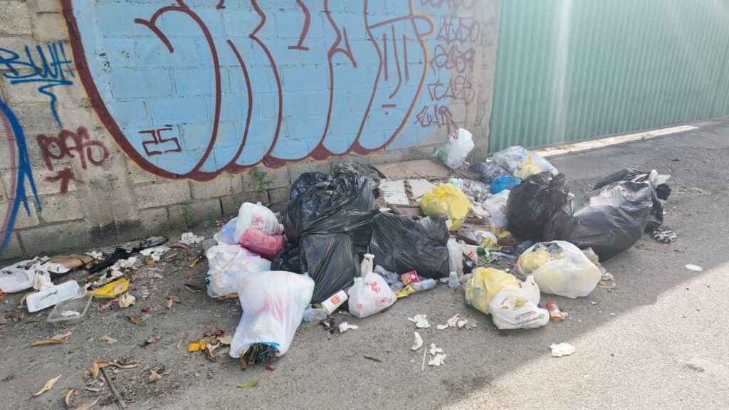 Residentes de SDE reclaman más contenedores para evitar el cúmulo de basura en calles - Noticias de hoy en República Dominicana | De Último Minuto