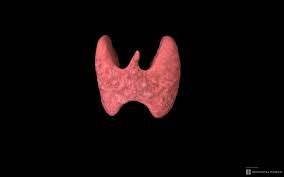 Es falso que aplicar perfume en el cuello altere la tiroides o las hormonas - Noticias de hoy en República Dominicana | De Último Minuto