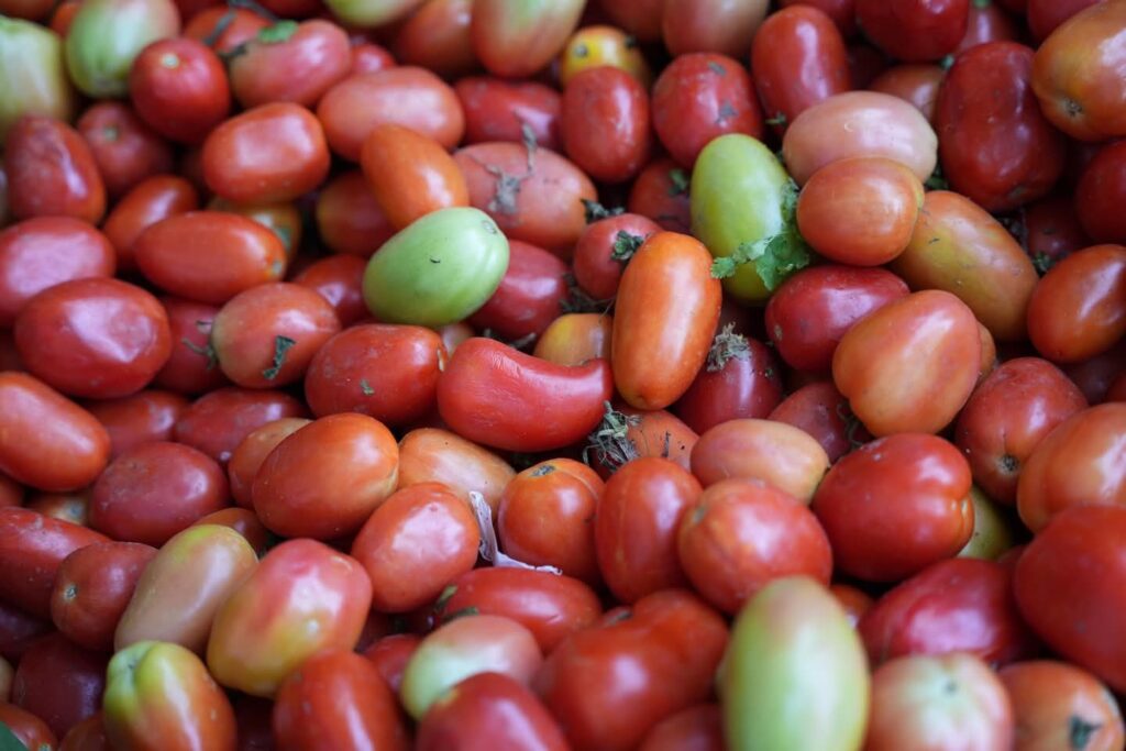 Ministro de Industria y Comercio respalda a mipymes en la Feria del Tomate en Azua - Noticias de hoy en República Dominicana | De Último Minuto