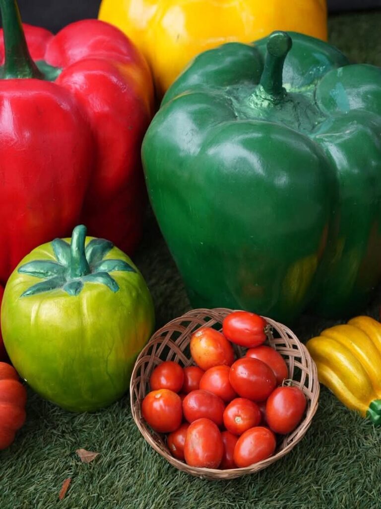 Ministro de Industria y Comercio respalda a mipymes en la Feria del Tomate en Azua - Noticias de hoy en República Dominicana | De Último Minuto