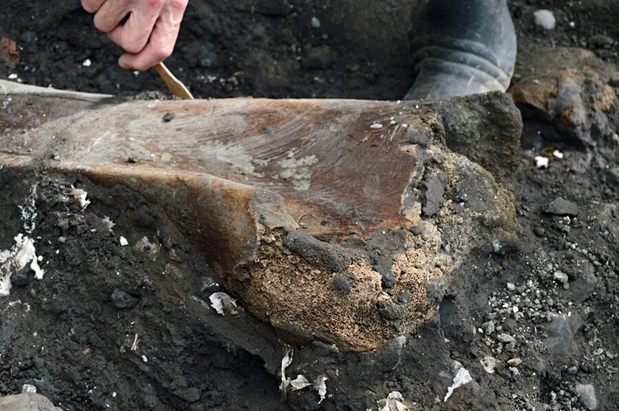 Hallan fósiles de un perezoso gigante y un mastodonte de al menos hace 10.000 años en Costa Rica | 2 | Hallan fósiles de un perezoso gigante y un mastodonte de al menos hace 10.000 años en Costa Rica - Noticias de hoy en República Dominicana | De Último Minuto