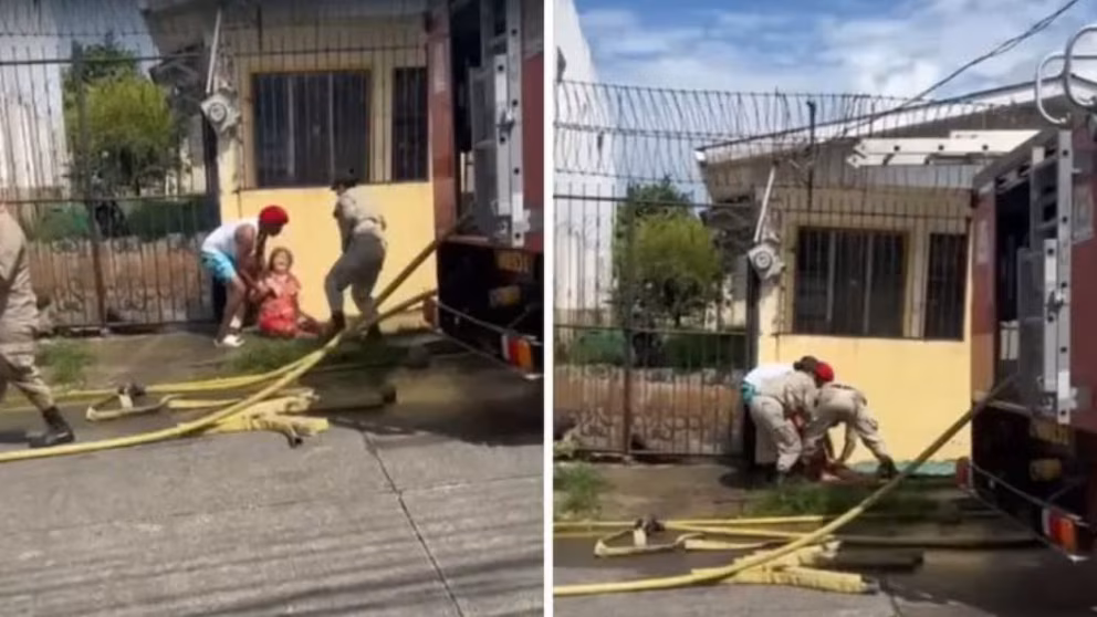 Fallece mujer de 55 años tras ataque de perros pitbull en Honduras - Noticias de hoy en República Dominicana | De Último Minuto