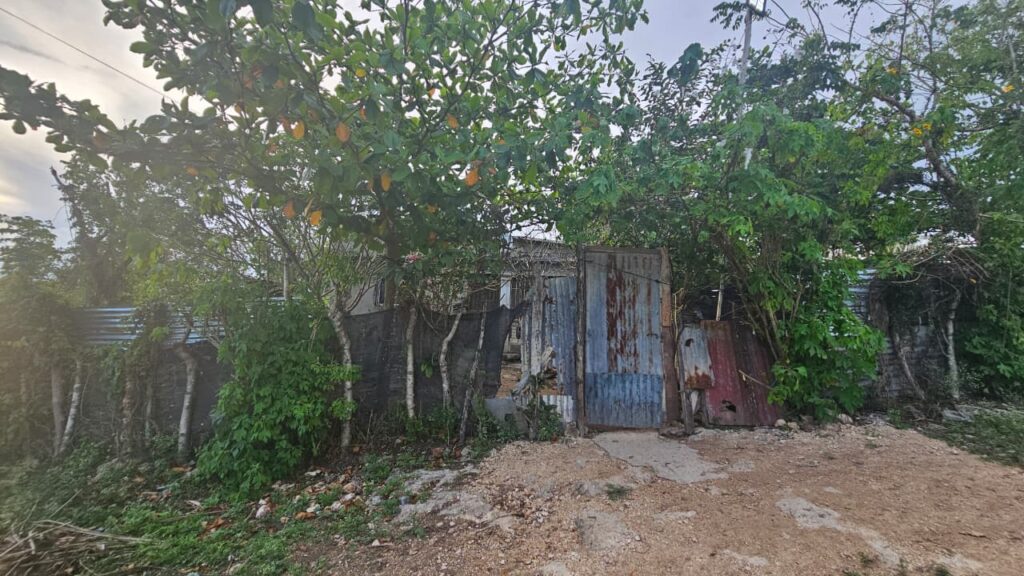 Restos de niño de 6 años ultimado por su hermano son velados en Barahona - Noticias de hoy en República Dominicana | De Último Minuto