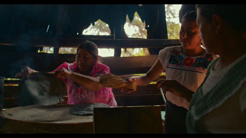 El cacao dominicano conquista Disney+ - Noticias de hoy en República Dominicana | De Último Minuto