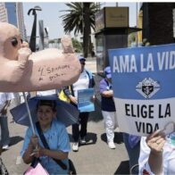 Colectivos civiles marchan al Congreso en México en rechazo al aborto y a la eutanasia - Noticias de hoy en República Dominicana | De Último Minuto