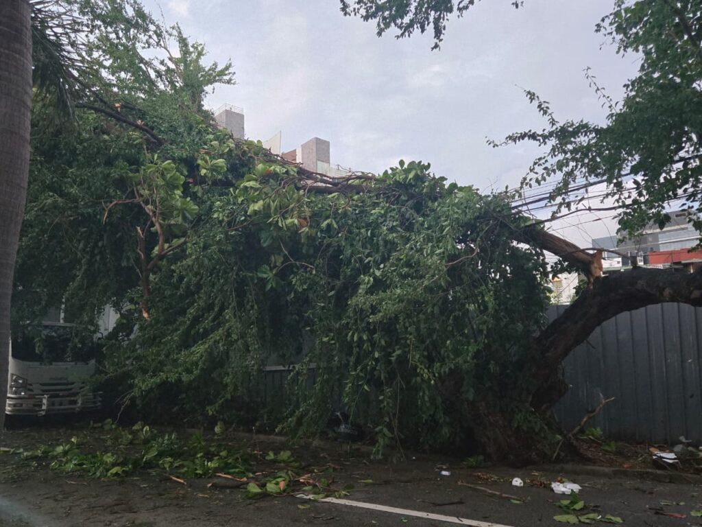 Paredes colapsadas, vehículos afectados y aceras con ramas: el saldo del ventarrón en el Distrito Nacional - Noticias de hoy en República Dominicana | De Último Minuto