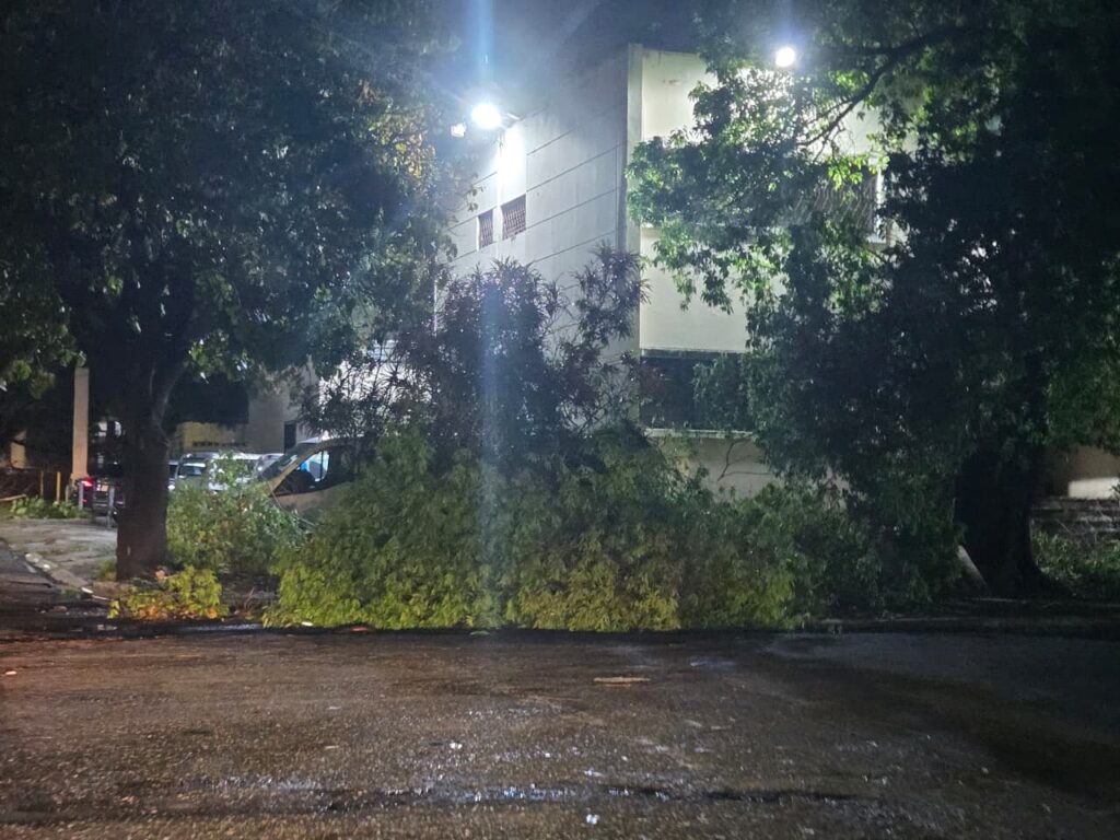 Paredes colapsadas, vehículos afectados y aceras con ramas: el saldo del ventarrón en el Distrito Nacional - Noticias de hoy en República Dominicana | De Último Minuto