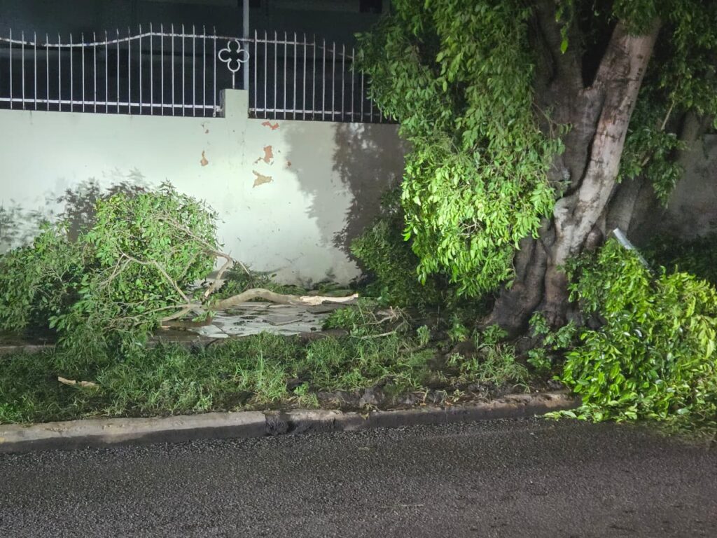 Paredes colapsadas, vehículos afectados y aceras con ramas: el saldo del ventarrón en el Distrito Nacional - Noticias de hoy en República Dominicana | De Último Minuto