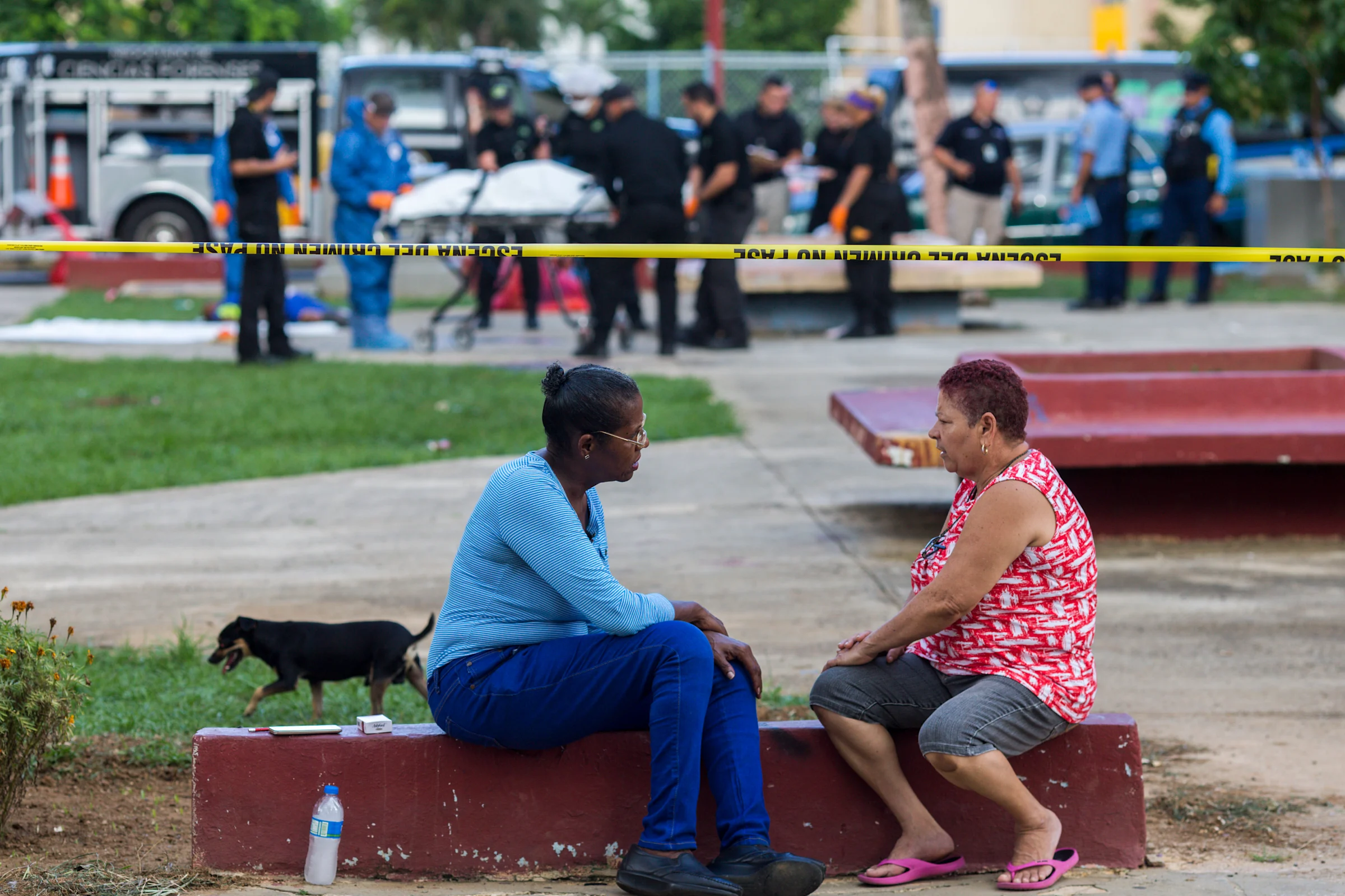 Matan a 6 personas a tiros y las calcinan en sendos sucesos en el norte de Puerto Rico - Noticias de hoy en República Dominicana | De Último Minuto