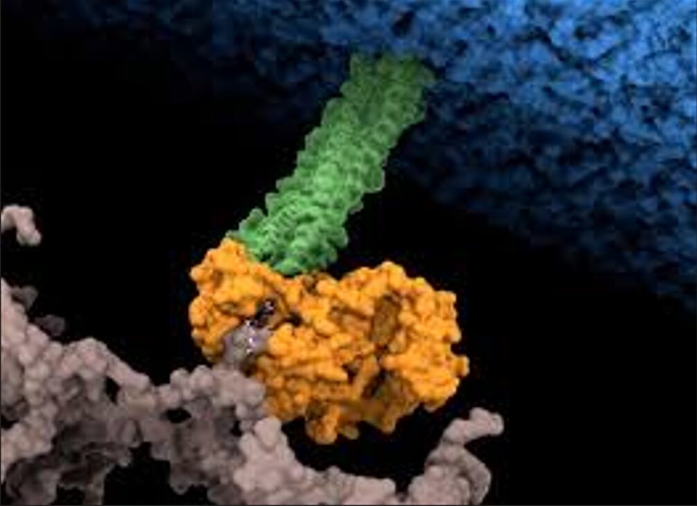 Hallan el punto débil de una de las 15 bacterias más peligrosas para la salud humana - Noticias de hoy en República Dominicana | De Último Minuto