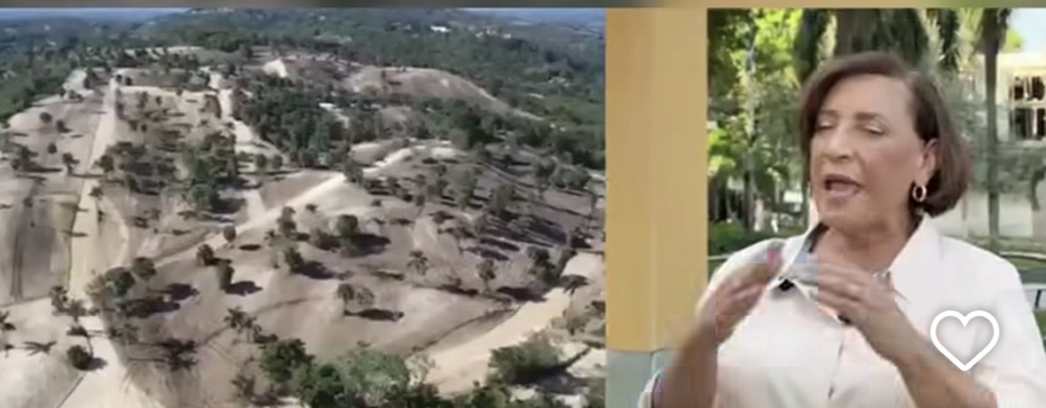 Alcaldesa de La Vega condena “ecocidio” tras tala de árboles en comunidades del Santo Cerro - Noticias de hoy en República Dominicana | De Último Minuto