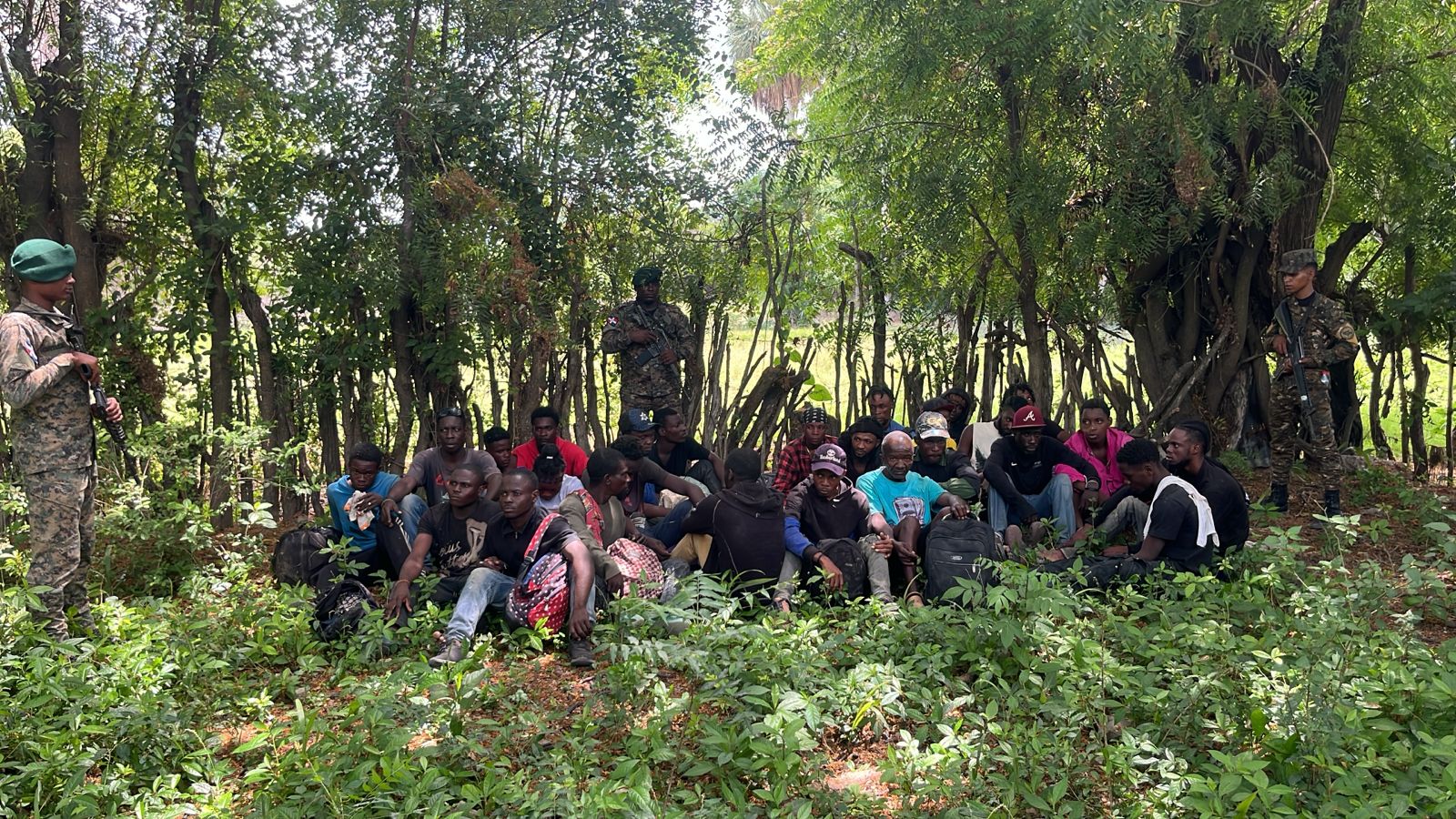 Interceptan grupo de haitianos indocumentados en zona boscosa de Guayubín - Noticias de hoy en República Dominicana | De Último Minuto